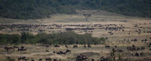 Travel to Kenya