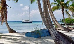 Travel Insurance companies