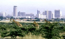 Holidays in Nairobi