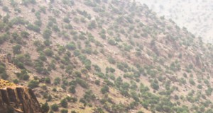 The Essentials Of Lightweight Backpacking Gear