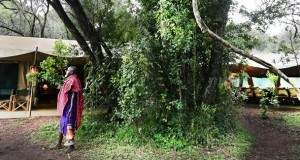 Nairobi Tented Camp – A paradise in the City