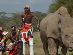 An Ideal treat for All Dads at The Ol Pejeta Conservancy-Father’s Day 2016
