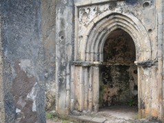 Gedi Ruins-Coastal Kenya Historic Attraction