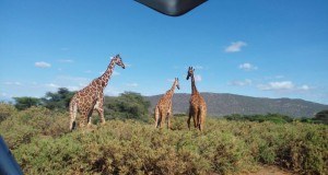 Exploring Kenya’s alluring Samburu