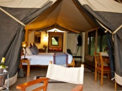 How often Do you go Camping?