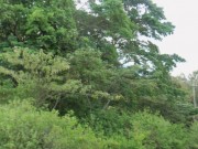 Solo Traveling Doesn’t Have To Be Boring!!