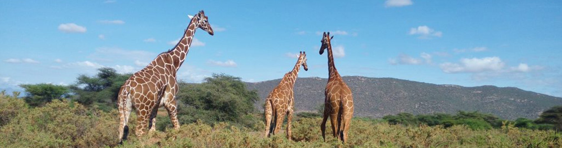 Kenya travel — stays and trips from the Kenyatalii archive
