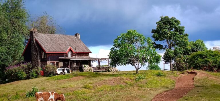 A weekend getaway at Mount Kenya’s Castle Forest Lodge