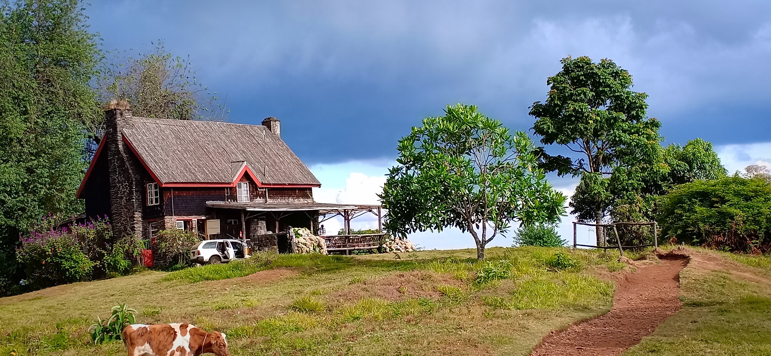 A weekend getaway at Mount Kenya’s Castle Forest Lodge Castle Forest Lodge